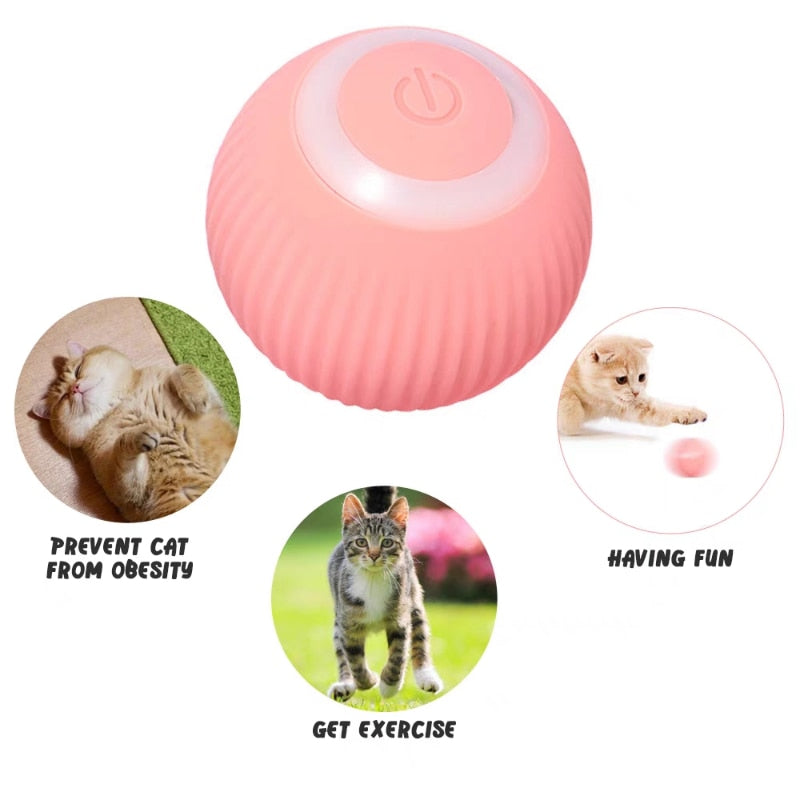 Smart Ball for Pet - Smart Ball™